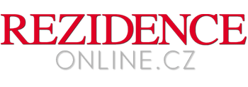 Logo del partner